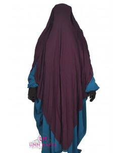 maktaba ahloulhadith nl