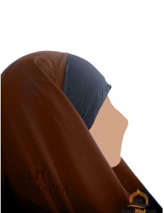 maktaba ahloulhadith nl