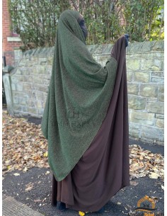 maktaba ahloulhadith nl