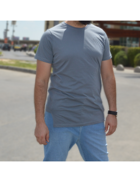 Rayane 22TS oversize T-shirt - Grå